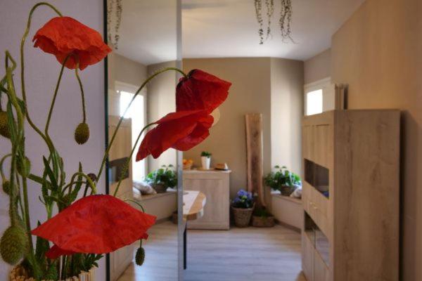 Il Sogno Apartman Spello Kültér fotó